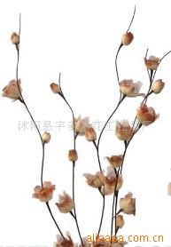 供應葉脈花、龍柳、三叉木、龍桑、蘆葦專業(yè)指南