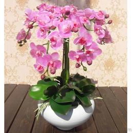 假花批發(fā)供應與價格指南 源頭采購與機械設備應用